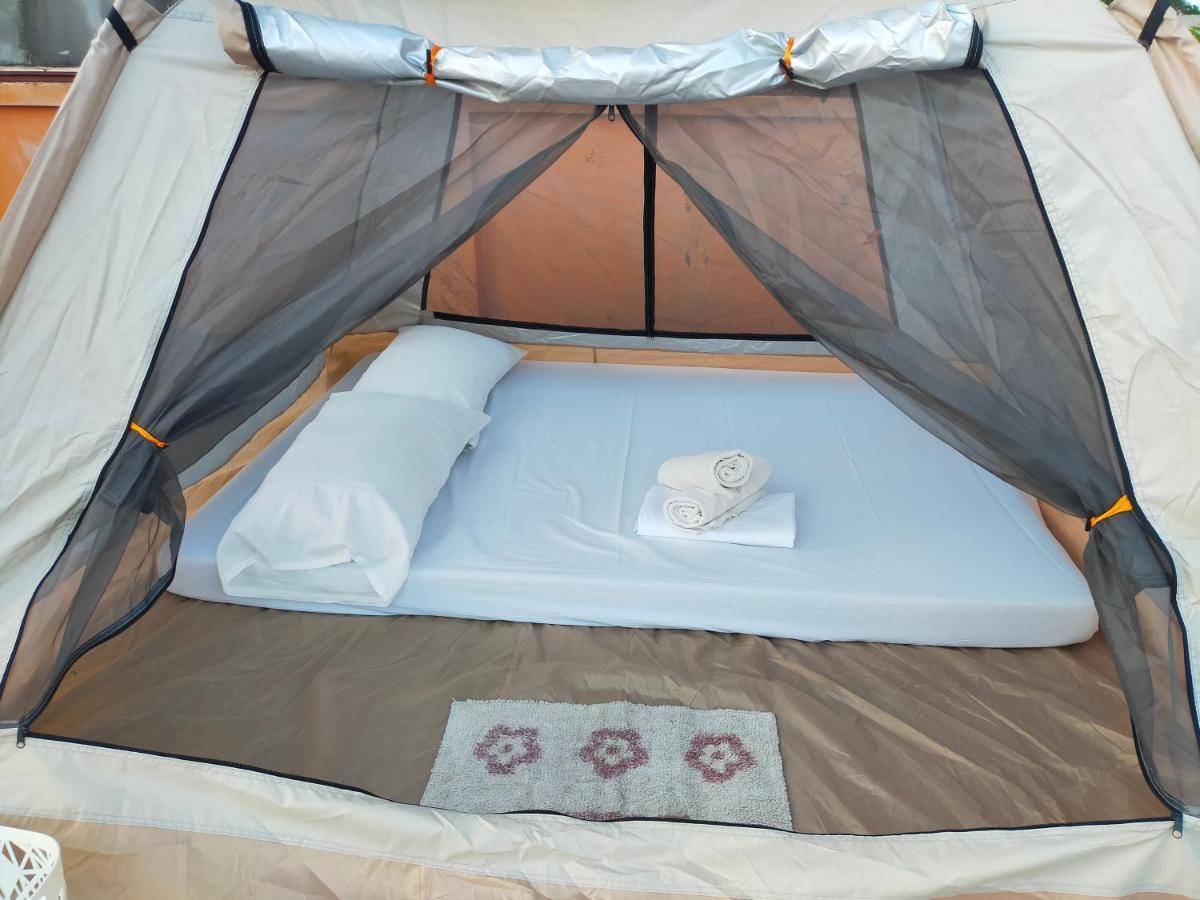 Touristlink Homestay Donsol Room photo